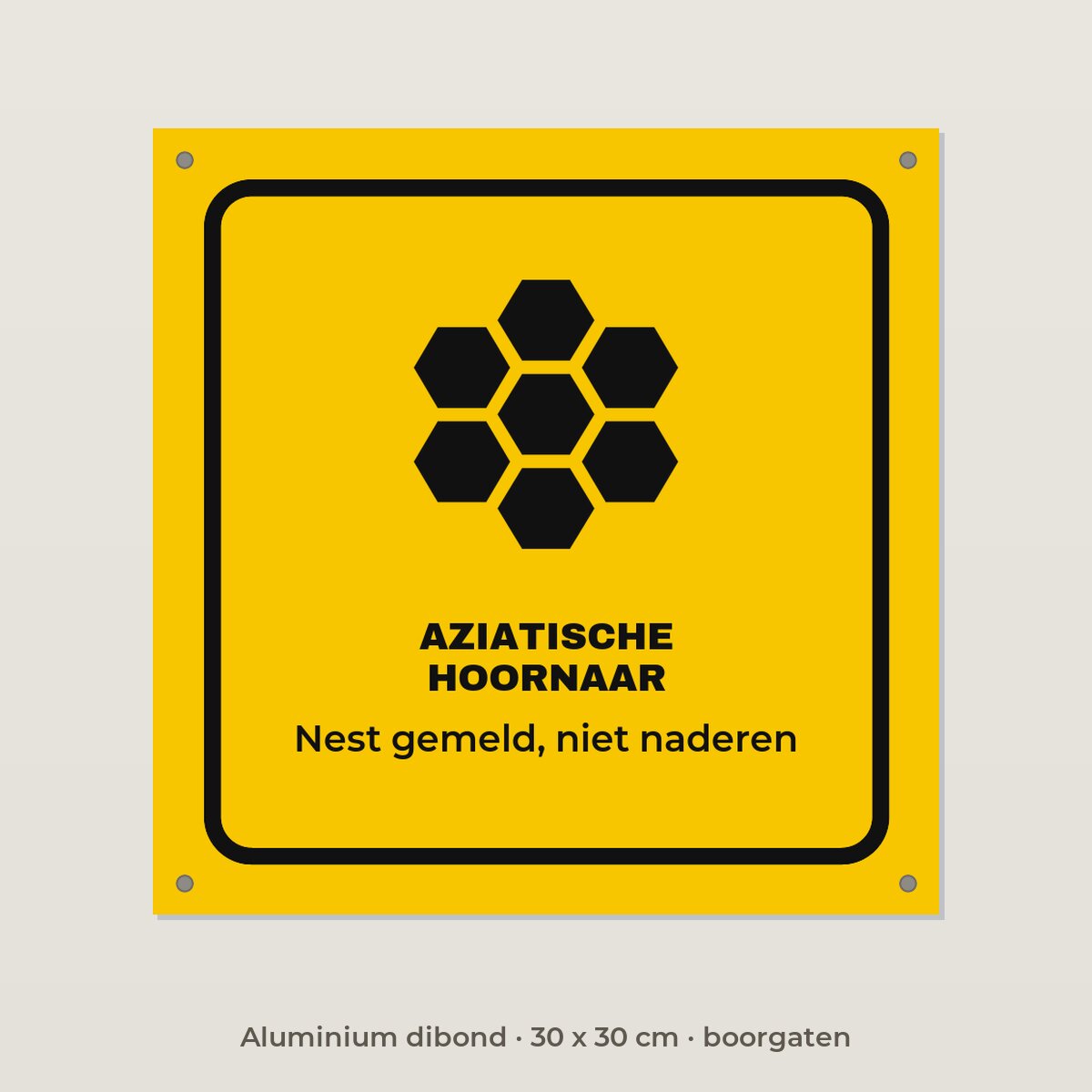 Bordje Aziatische hoornaar - Aluminium dibond 30 x 30 cm met boorgaten