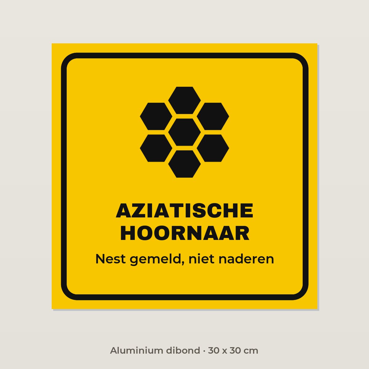 Bordje Aziatische hoornaar - Aluminium dibond 30 x 30 cm