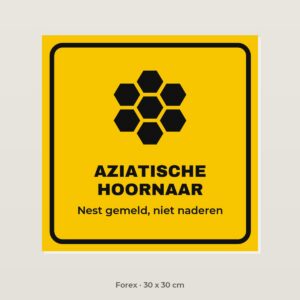 Bordje Aziatische hoornaar - Forex 30 x 30 cm