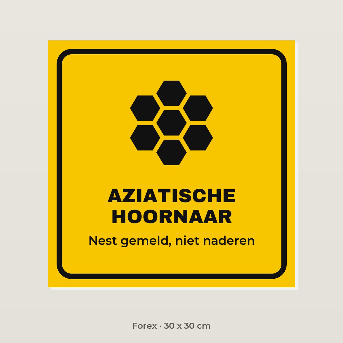 Bordje Aziatische hoornaar - Forex 30 x 30 cm