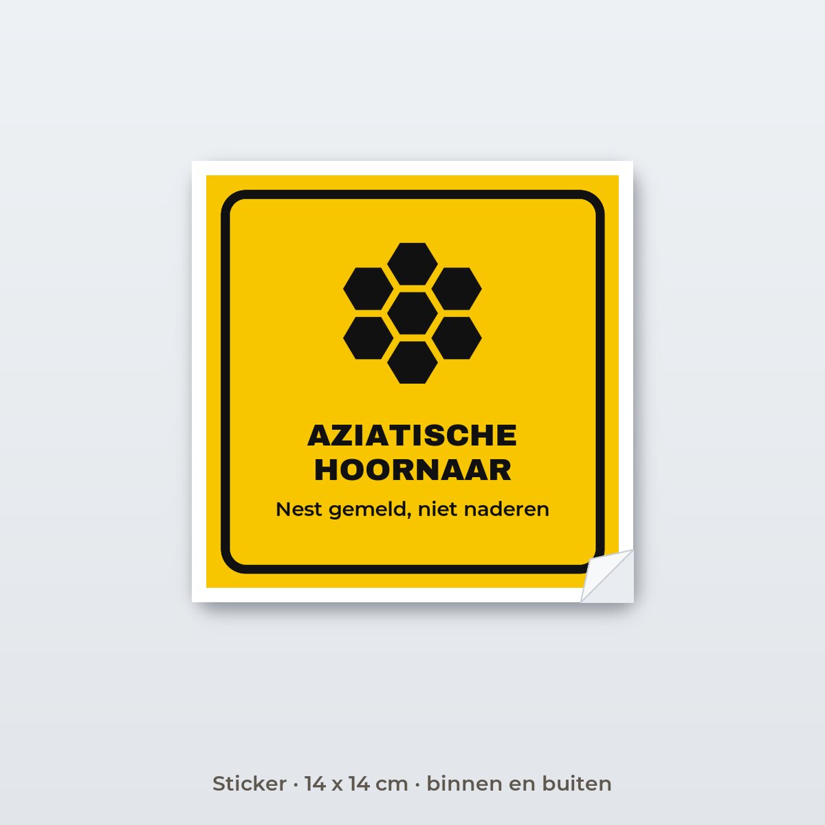 Bordje Aziatische hoornaar - Sticker 14 x 14 cm