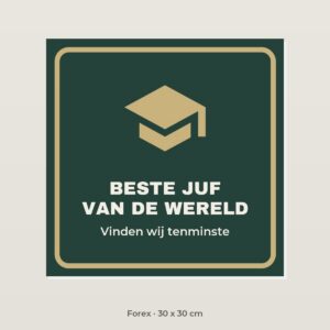 Bordje Beste juf van de wereld - Forex 30 x 30 cm