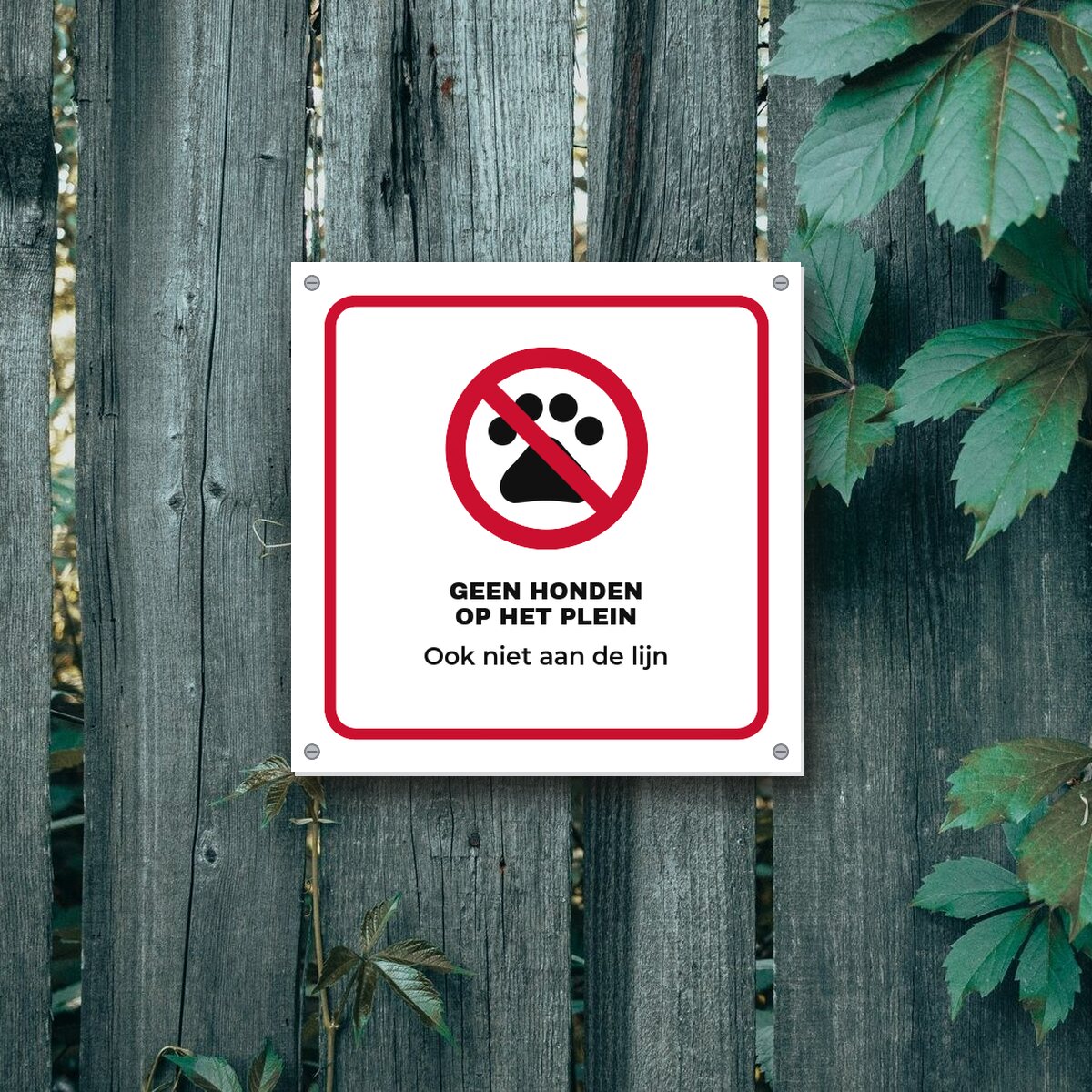 Bordje Geen honden op het schoolplein aan de muur