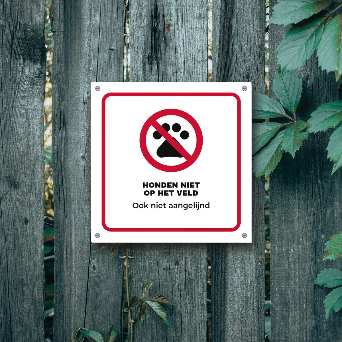 Bordje Honden niet op het veld aan de muur