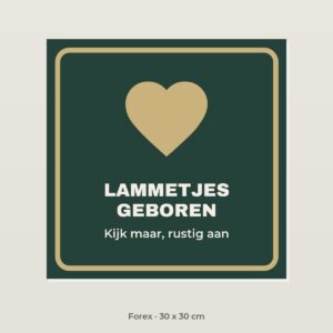 Bordje Lammetjes geboren - Forex 30 x 30 cm