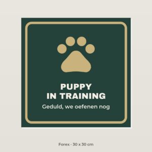 Bordje Puppy in training - Forex 30 x 30 cm