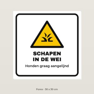 Bordje Schapen in de wei - Forex 30 x 30 cm
