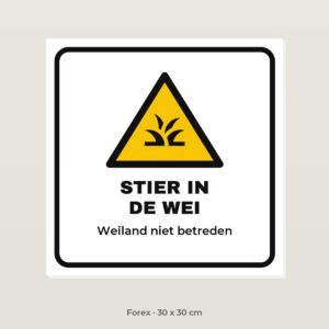 Bordje Stier in de wei - Forex 30 x 30 cm